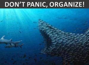 Samhälle tillsammans