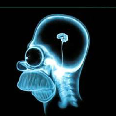 När dumheten får ett ansikte!