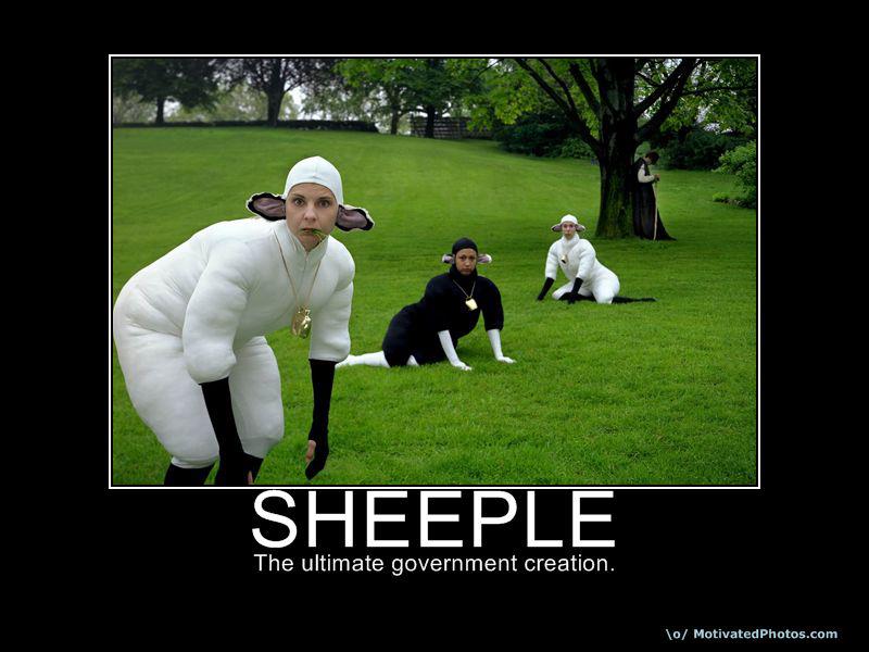 545802_444503345567579_1862237255_n