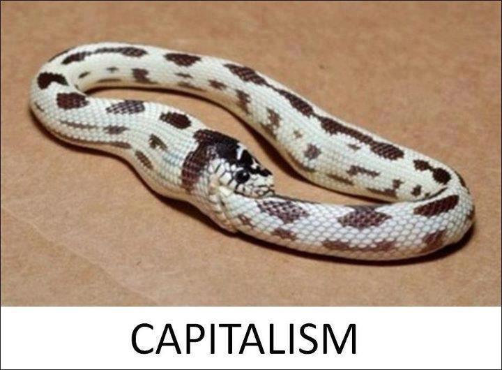 capitalism2