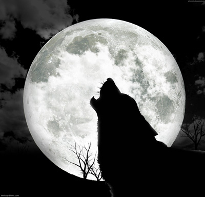 howling att the moon