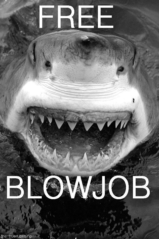 ....men sedan blir det bättre