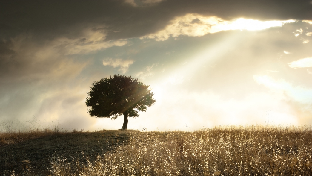 I ljuset av en själ - v