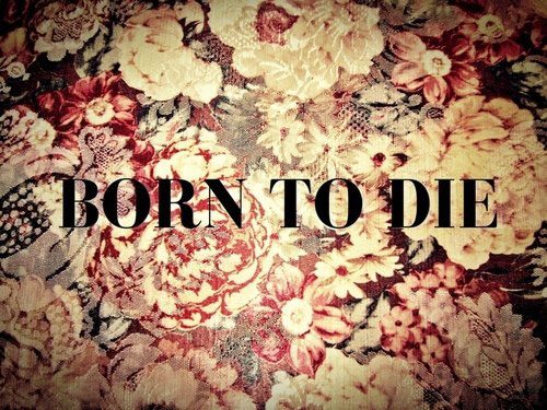 62520_10151049463912864_633167367_n