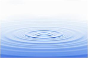 10659300_10205083299149083_9105734956412725077_n