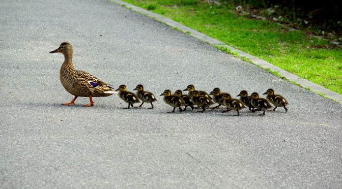 populist-movement-672x372