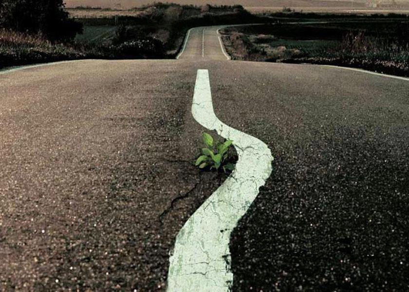 Livets väg är vår egen