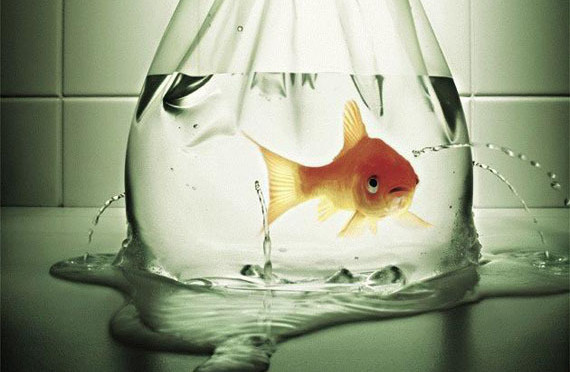 helplessness1-570x372