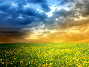 Att kunna förlåta sig själv är förändring.