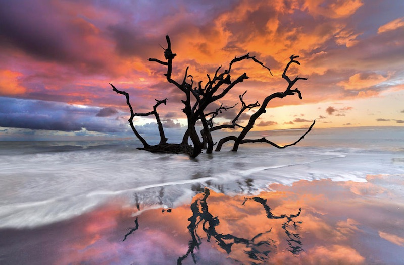 Wildfire-Photo-By-Debra-and-Dave-Vanderlaan