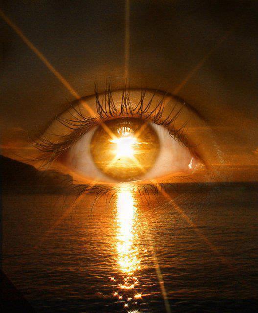 251903_454530844567458_496206440_n