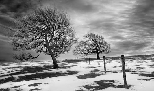 12294740_10206703215953856_6017973175521474040_n