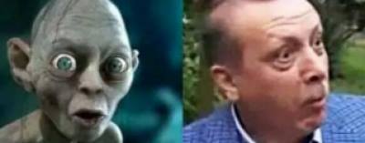 10415549_10206903564442443_7019867720273404139_n