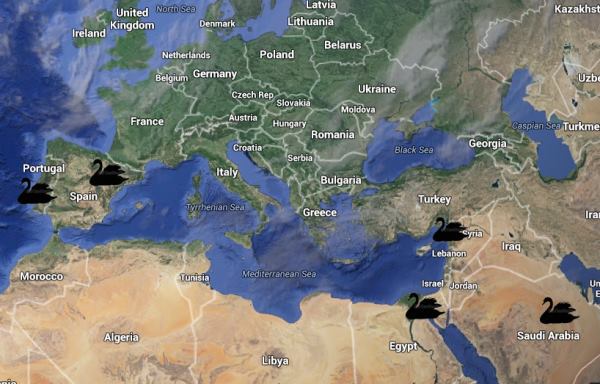 12376740_10206832232659193_5023101514548195712_n