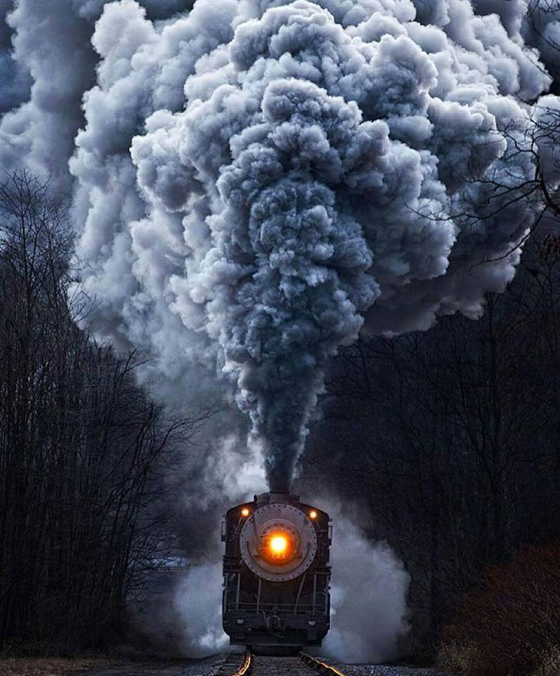 1916885_10206947227613995_9087395744735337558_n