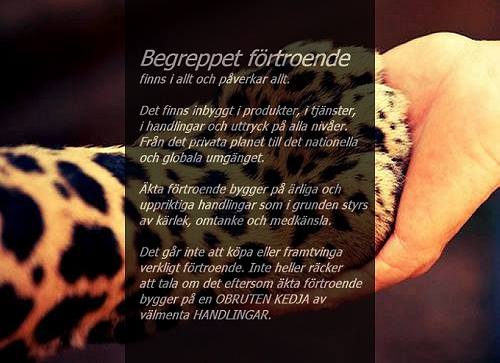 förtroende