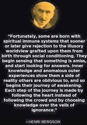 1934578_10207475938511437_2419976614415046840_n