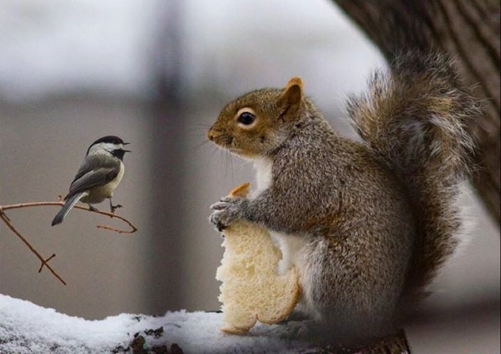 Från Skuld Till Guld & Vidare ...?