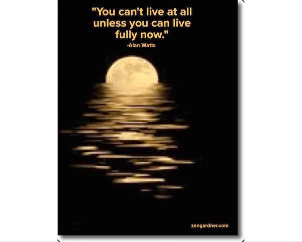 Döds & Födslovåndor