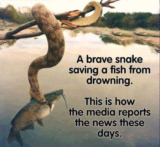 13239373_10154274130768678_131264322169252968_n