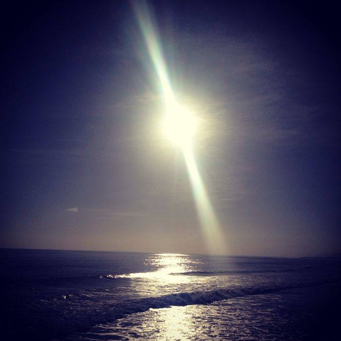 13319966_10208025012157935_6784216207759089998_n