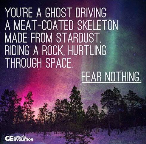 Berättande Verklighetskontroll