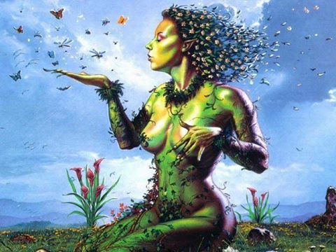 13418679_1748814765362095_7699676922792267582_n