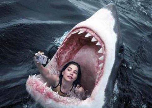 1004457_10200797159306131_417705021_n