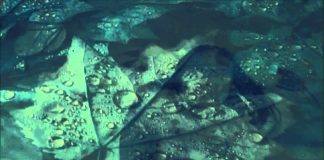 Konspirationsteoretiska Svek