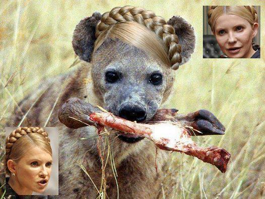 Förståelse Som Egen Makt