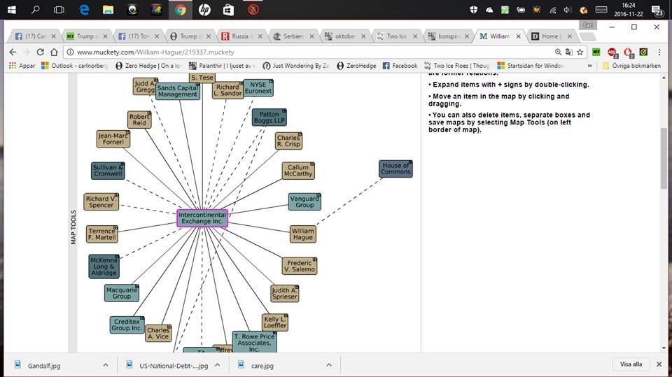 Exponent För Mänsklig Moralhaverism