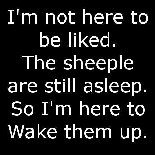 557239_4537542751452_69818411_n