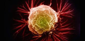 16603015_10210272417581666_878856011216086671_n