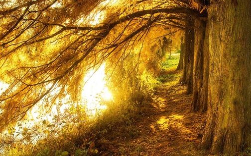 17021636_10210436173635465_3229084074790935292_n