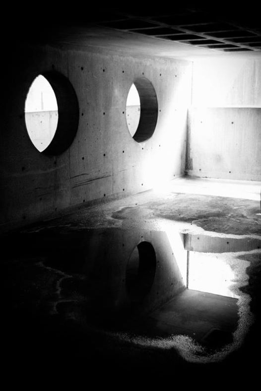 Medveten Medvetanderevolution