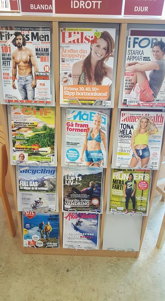 Det massmediala samhället