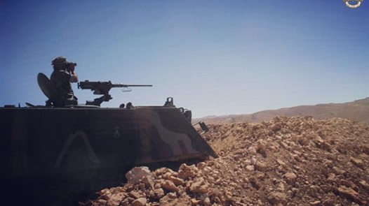 Utvecklingsaccelererande