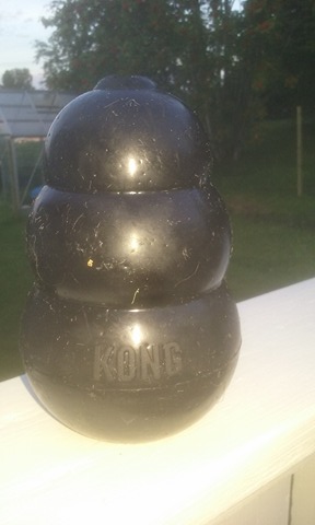 20750439_10212040027210802_568419522_n