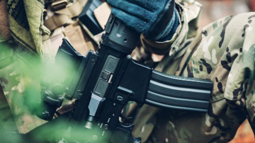 Vicekung & President