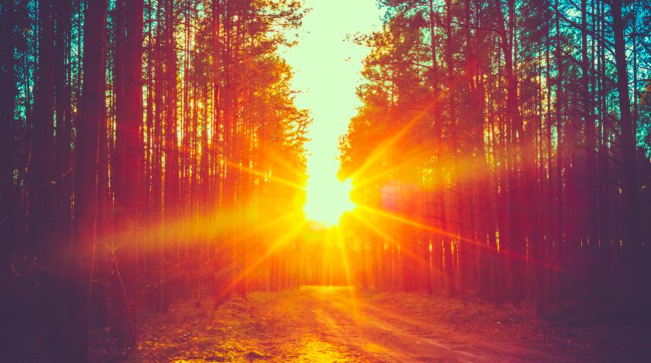 21761561_10155839925272474_2776049621303123094_n