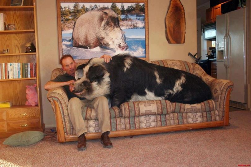 250317_4021723136284_1494595137_n