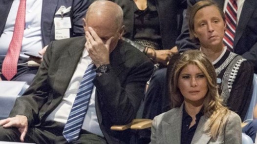 Partiers Viktiga Roll