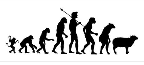 Ur & Om ”Det Blinda Sverige”