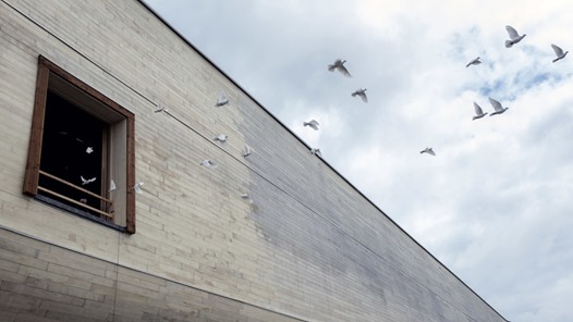 Ifrågasättande Av Akademisk Fakta