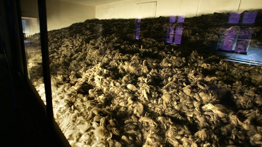 Trovärdighetsanseende