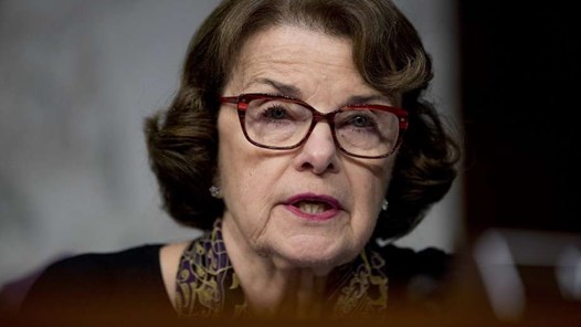 Demokratiskt Exkluderad