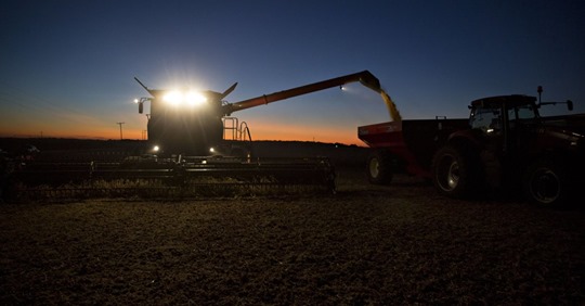 I Väntan På Monsanto