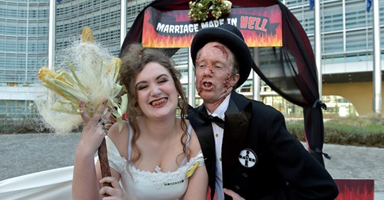Helvetets Bröllop