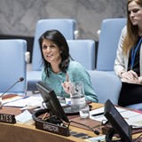 Haleys FN-Härjningar