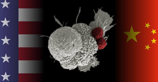 Förlorad Inkomstkälla